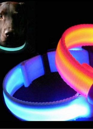 Ошейник LED светящийся узкий для небольших собак и кошек 0.5 м Си