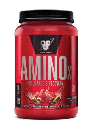 Amino X (1,01 kg, fruit punch) 18+