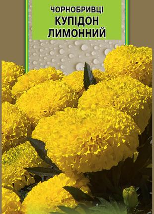 Бархатцы Купидон лимонный 0,5 г, Империя семян Maxx shop