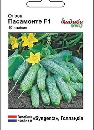 Семена огурцов Пасамонте F1 10 шт, Syngenta Макс шоп