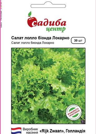 Насіння салату Локарно 30 шт, Rijk Zwaan