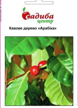 Семена кофейного дерева Арабика 1 г, Hем Zaden Макс шоп