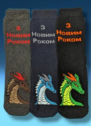 Мужские махровые носки "год дракона" размер 27-29