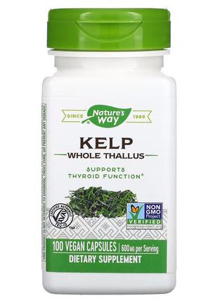 Витамины и минералы Nature's Way Kelp, 100 вегакапсул