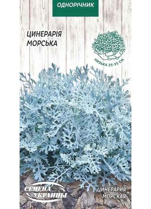 Цинерарія Морська ОД (10 пачок) 0,1г ТМ СЕМЕНА УКРАИНЫ