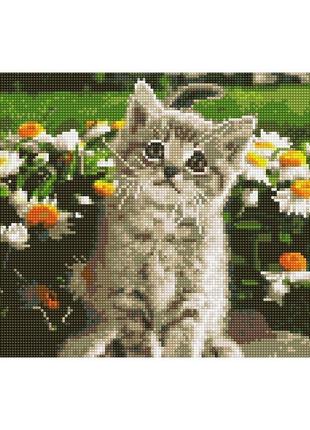 Алмазная мозаика "котенок в ромашках" ej1376, 40х30 см