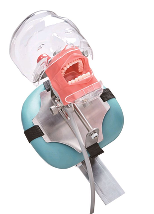 Стоматологический тренировочный фантом, модель зубов.