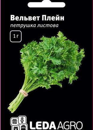 Семена петрушки Вельвет Плейн, 1 гр., листовой, ТМ "ЛедаАгро"