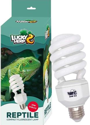 Компактная флуоресцентная лампа Lucky Herp 23W UVB 5.0 Reptile...