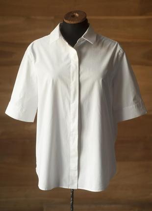 Базова біла котонова блузка з коротким рукавом жіноча cos, роз...