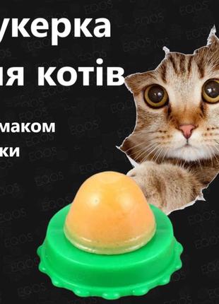 Леденец для котов с курицей и кошачьей мятой. конфета-шарик с ...
