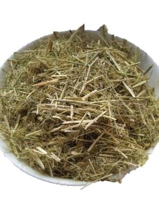 Буркун трава сушена (упаковка 5 кг)
