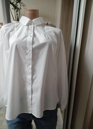 Блуза зара рубашка белая