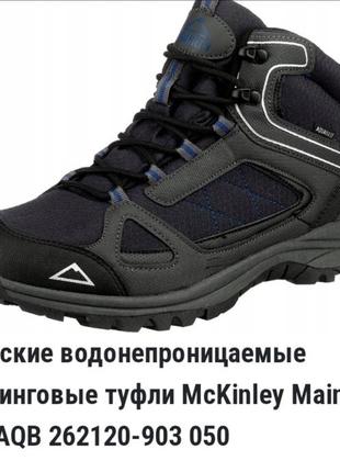 Трекинговые ботинки mckinley 45p.
