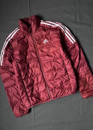 Микропуховик adidas