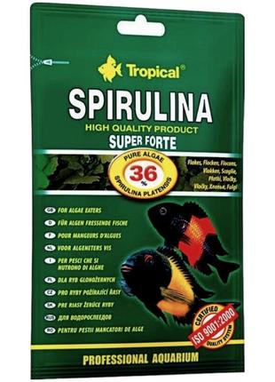 Корм для риб ​​Tropical Super Spirulina Forte для акваріумних ...