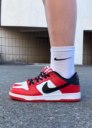 Кроссовки nike sb dunk red white black