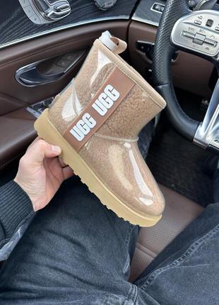 Зимние женские ботинки ugg classic mini clear beige  premium