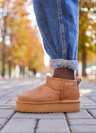 Зимние ботинки ugg ultra mini platform chestnut