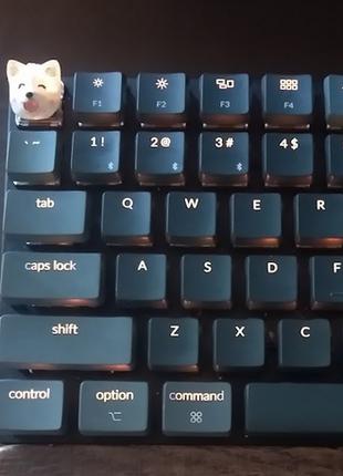 Corgi Cherry-MX keycap, кнопка для клавиатуры