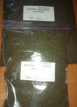 семена крапивы дводоннои