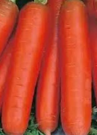 Семена морковки "Лакомка" 50 грамм