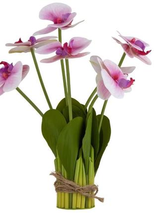 Букет орхидей, светло-сиреневый