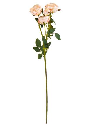Роза дамасская, розовая, 56 см