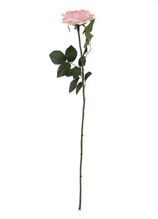 Роза "нежность", роза, 75 см