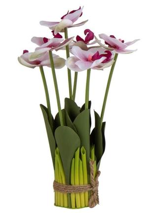 Букет орхидей, бело-розовый