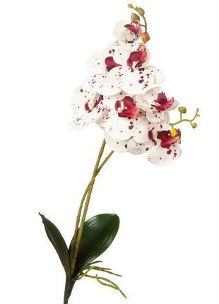 Орхидея 56 см. * рандомный выбор дизайна