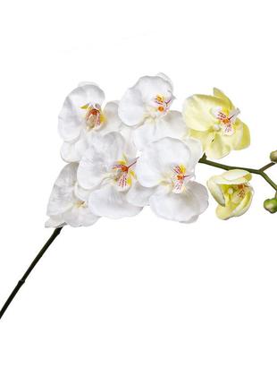 Орхидея белая 137 см