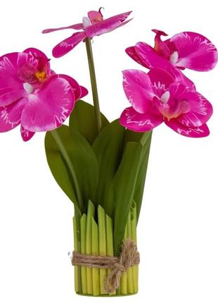 Букет орхидей, розовый