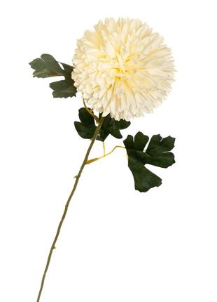 Квітка "хризантема біла"