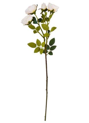 Роза дамасская, нежно-розовая, 56 см
