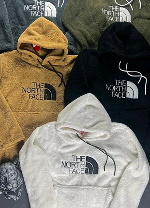 Худі від бренду TNF