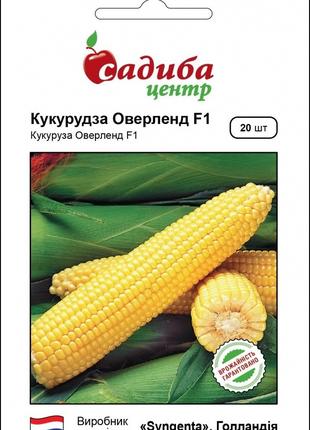 Насіння кукурудзи Оверленд F1 20 шт, Syngenta