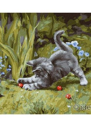 Картина по номерам "игривый котенок" идейка kho4251 40х50 см