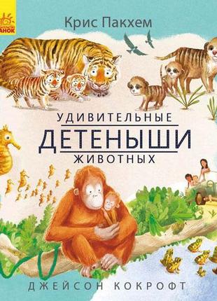 Дивовижна природа: удивительные детёныши животных (р)(135)