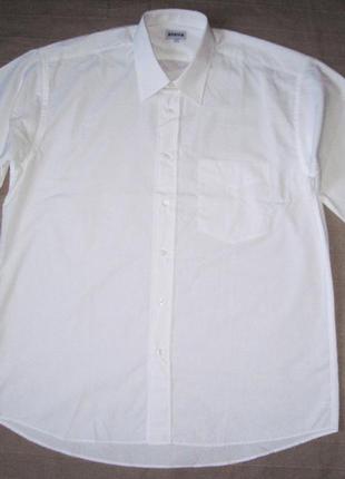 Schild (xl/42) рубашка белая мужская натуральная