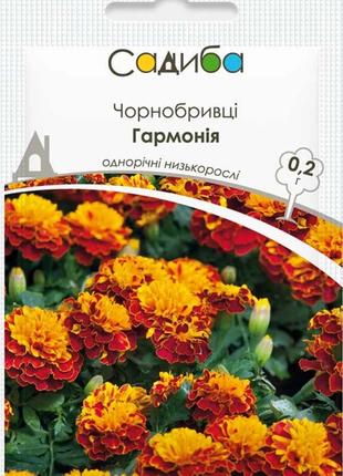 Семена бархатцев Гармония 0,2 г, Hem Zaden Maxx shop