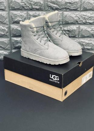 Выгодно ‼️● женские угги на шнуровке ugg australia замшевые на...