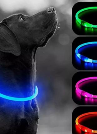 Светящийся LED ошейник для собак с USB зарядкой 50 см