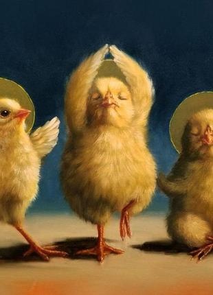 Духовные цыплята © lucia heffernan