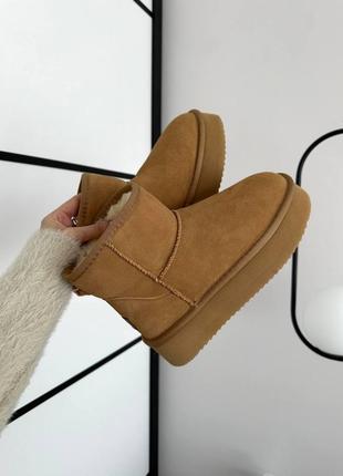 Угги ugg