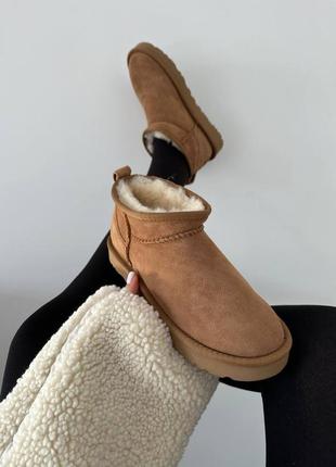 Угги ugg premium на овчине