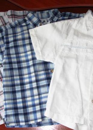 Три рубашки с коротким рукавом одним лотом