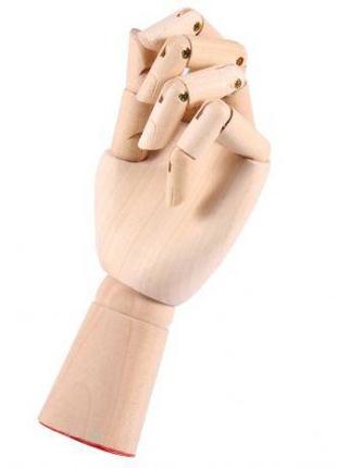 Деревянная рука манекен RESTEQ 25см модель для держания товара...