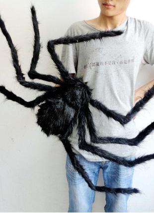 Огромный паук RESTEQ. Большой черный тарантул 75 см