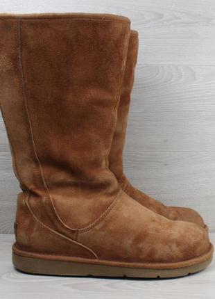 Зимові замшеві жіночі чоботи уггі ugg australia, розмір 40